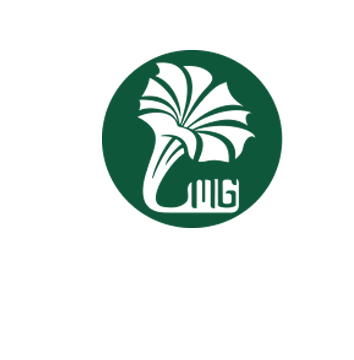 logo 2 test
